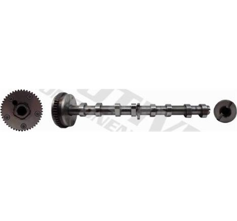 Ax cu came - VAG-06H109021J