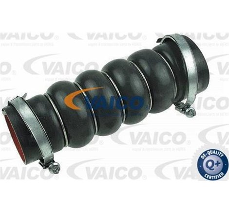 Furtun intercooler Stanga Partea de admisie-Superior. negru FORD C-MAX II. FOCUS III. FOCUS III-HATCHBACK. FOCUS III-KOMBI. KUGA