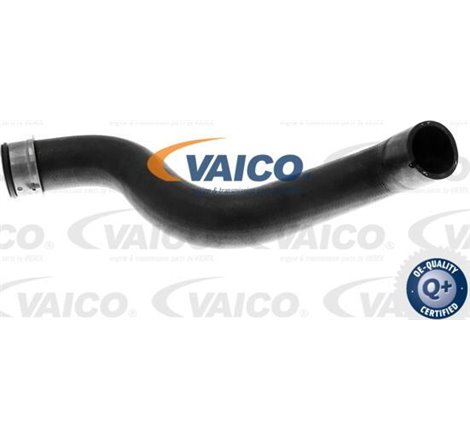Furtun radiator bottom R MERCEDES E T-MODEL S211. E VF211. E W211 2.1D-2.2D 03.02-07.09 - VAICO-V30-1664