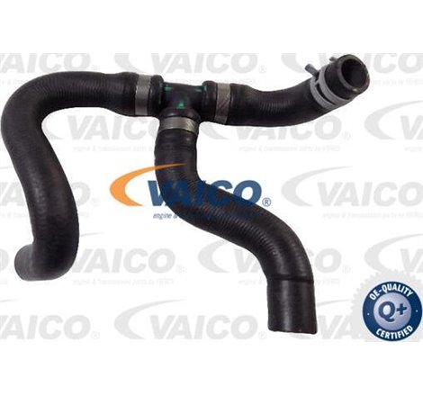 Furtun radiator - VAICO-V30-4007