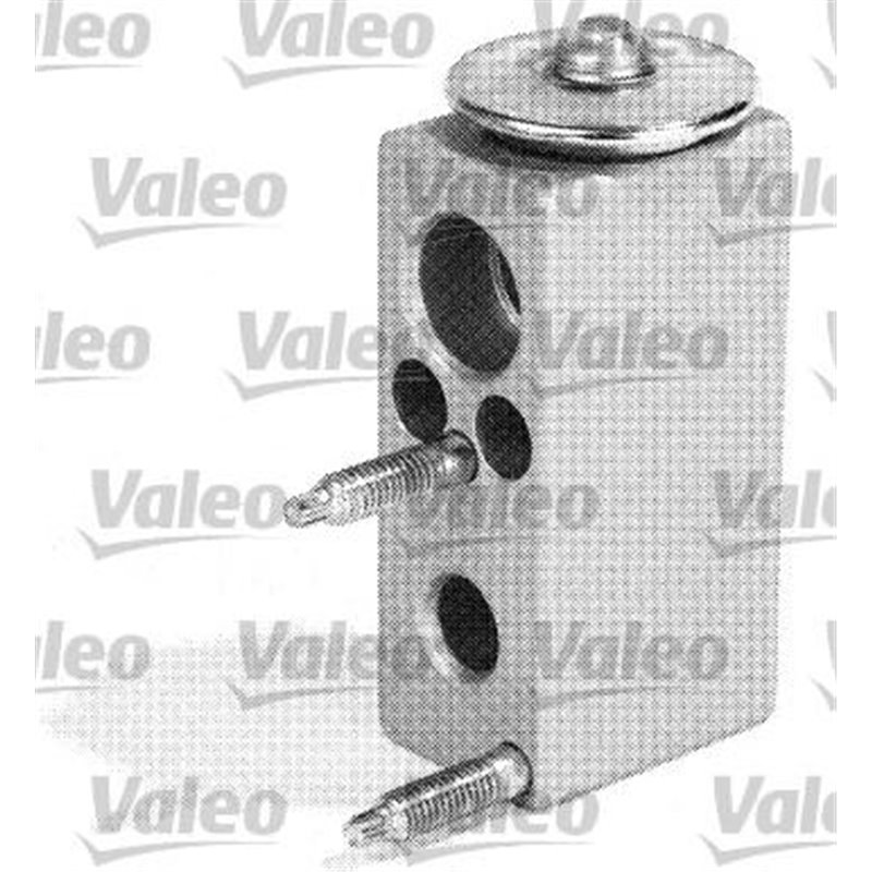 VALEO valva de expansiune Citroen C2. C3 - Valeo-509511
