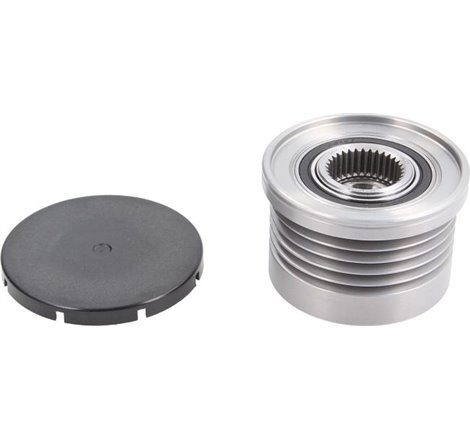 Rulita alternator VOLVO S40 I. V40. DACIA LOGAN. LOGAN EXPRESS. LOGAN MCV. SANDERO. MITSUBISHI CARISMA. SPACE STAR. NISSAN CABST