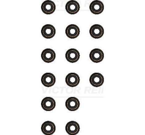 Set garnituri. ax supape - Victor Reinz-12-17930-01 - Victor Reinz-12-17930-01