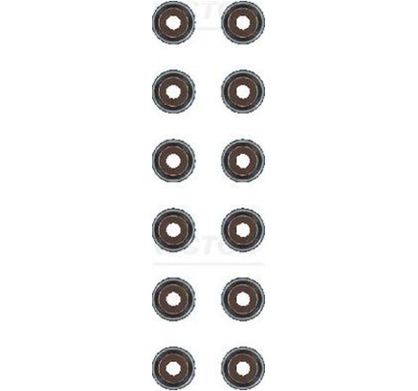 Set garnituri. ax supape - Victor Reinz-12-21170-01 - Victor Reinz-12-21170-01