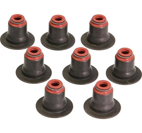 torg14 supapa garnitura de SS-ed. FORD - Victor Reinz-12-35548-01