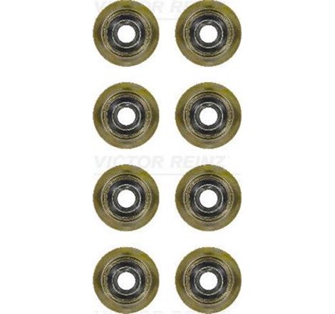 TR86-95 USZCZEL.ZAW.DI25 FORD OE. FORD - Victor Reinz-12-35893-01