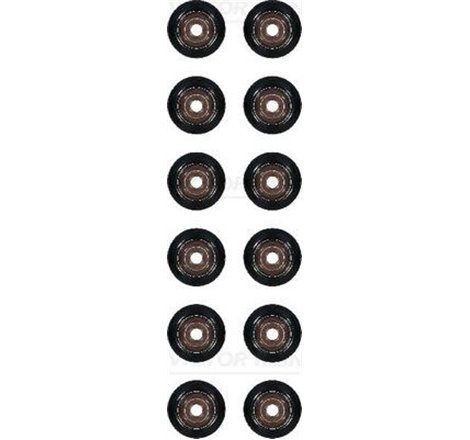 Valve sigilii kit BMW 325 E90 BMW 523 E60 BMW Z4 E85 2.5-2.8-3.0 05 - Victor Reinz-12-36866-01