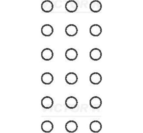 Set surub. chiulasa - Victor Reinz-14-17028-01 - Victor Reinz-14-17028-01