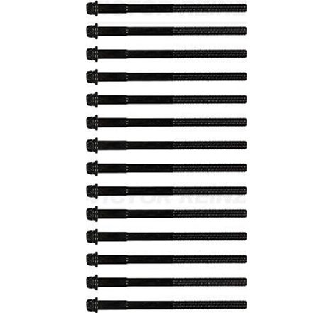 kpl.śrub sef de BMW - Victor Reinz-14-32001-01