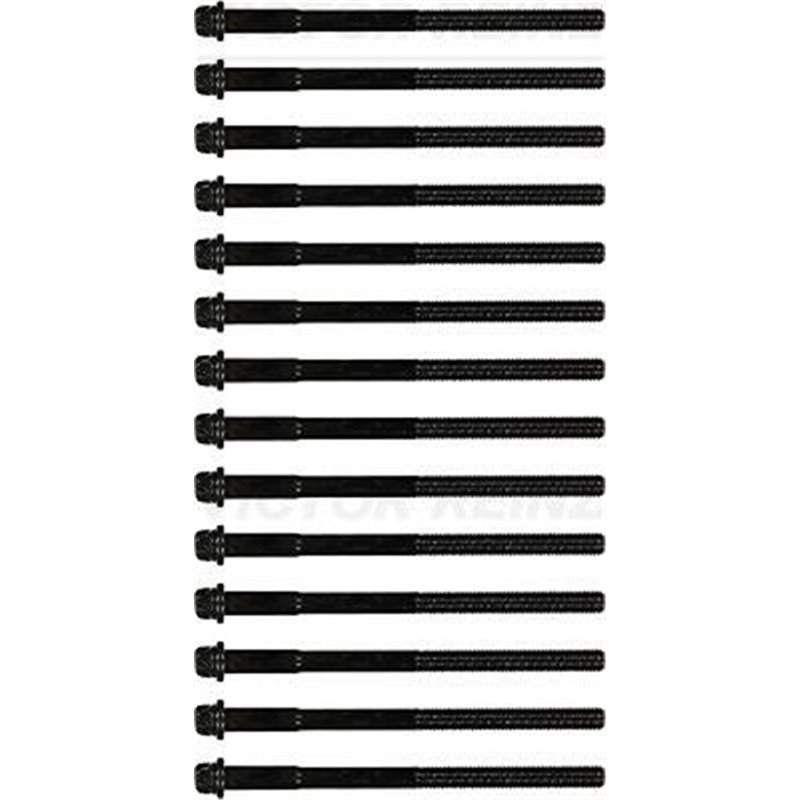 kpl.śrub sef de BMW - Victor Reinz-14-32001-01