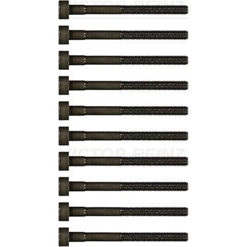 kpl.śrub cap FORD 1.8 TD - Victor Reinz-14-32017-01