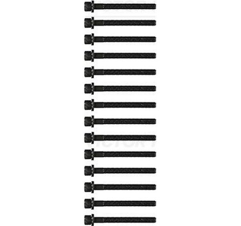kpl.śrub sef de la VW 2.4 D - Victor Reinz-14-32047-03