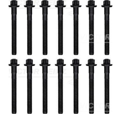 kpl.śrub cap MERCEDES OM 613 MERCEDES - Victor Reinz-14-32109-03