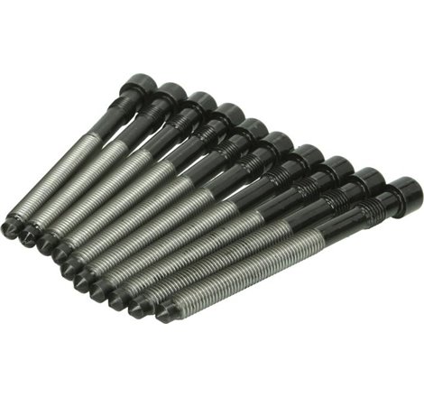 Set bolturi chiulasa AUDI A4. A6. A8. VW PHAETON. TOUAREG 3.7-4.2 11.98- - Victor Reinz-14-32127-02