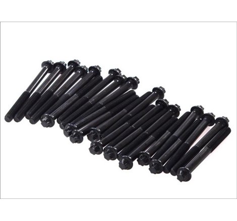 Set prezoane chiulasa 24pcs MAN FOC. HOCL. LION S INTERCITY. LION´S CITY. LION´S CLASSIC. NL. NM. SL II. SÜ. TGA. TGL I. TGL II.