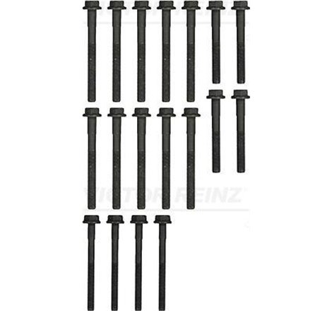 cilindru kpl.śrub cap LAND ROVER - Victor Reinz-14-32256-01