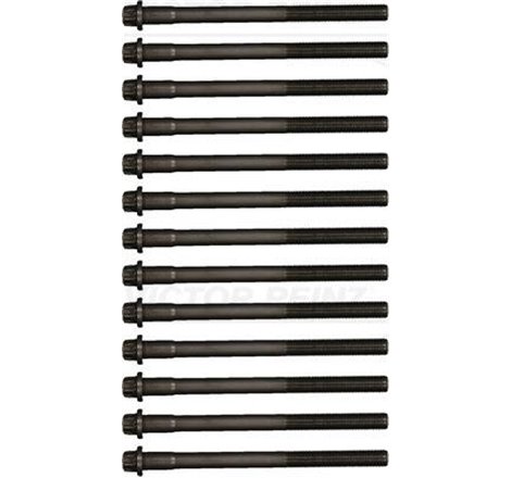 Set prezoane chiulasa MAN FOC. HOCL. LION´S CITY. LION´S COACH. LION´S REGIO. NG. NL. SL II. SÜ. TGA. TGM II. TGS I. TGS II. TGX