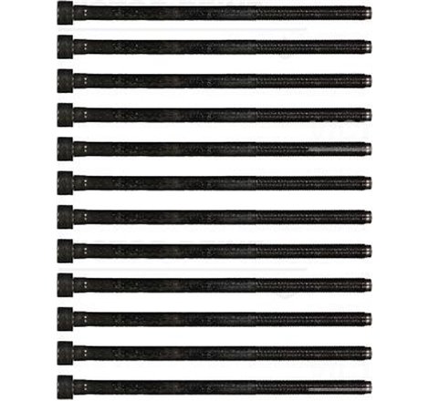 kpl.śrub Fiat cap cilindru 12 bucati ALFA 156 932 2.4 JTD 932B1-97 - 00 - Victor Reinz-14-35779-01