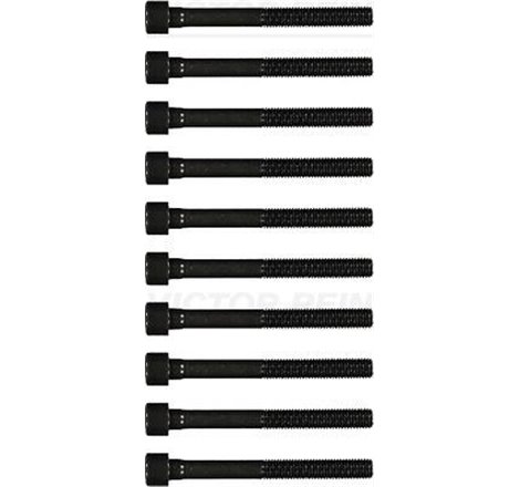 kpl.śrub cap 1.0i 16V Toyota Yaris 99 - TOYOTA - Victor Reinz-14-55036-01