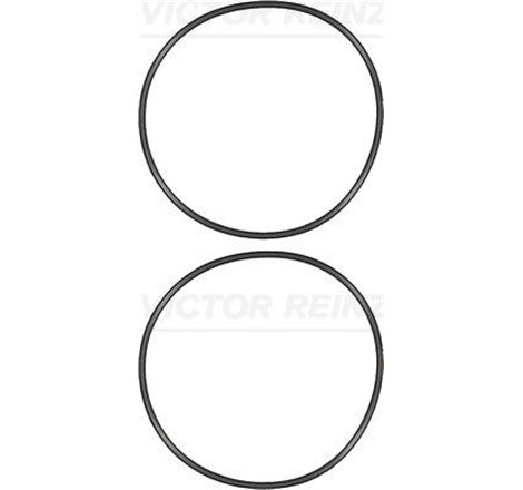 Set cu inel o-liner pentru cilindri MAN FOC. HOCL. LION´S CITY. LION´S COACH. LION´S REGIO. NG. NL. SL II. SÜ. TGA. TGM II. TGS 