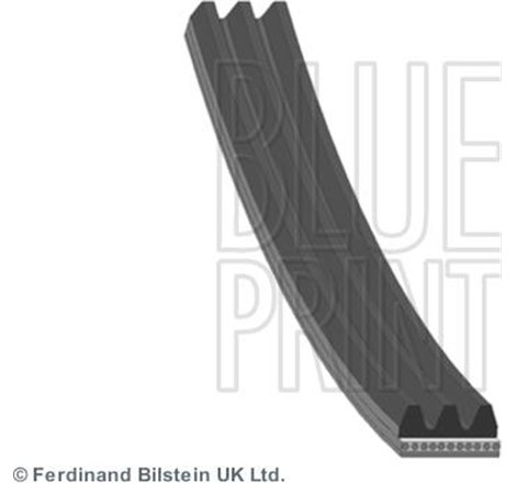 Curea transmisie cu caneluri - Blue Print-AD03R854