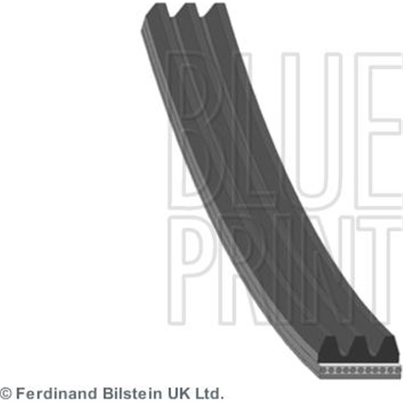 Curea transmisie cu caneluri - Blue Print-AD03R854