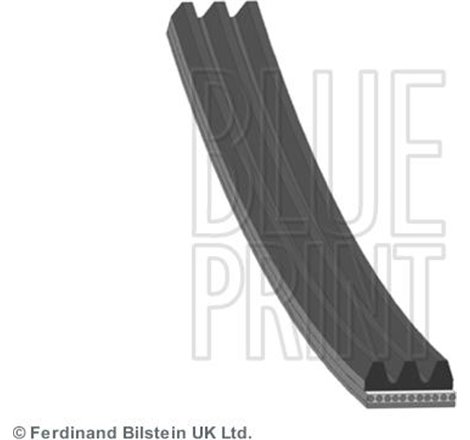 Curea transmisie cu caneluri - Blue Print-AD03S842