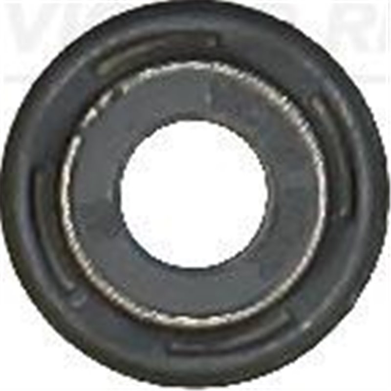 Etansare, supape - Victor Reinz-70-12117-00