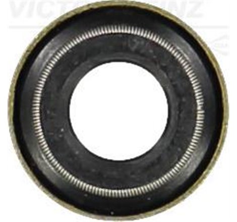 761389 radiera zaw.FORD OHC - Victor Reinz-70-24491-10