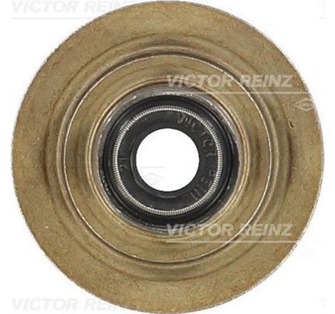 REINZ GUMKA ZAW.FORD CVH - Victor Reinz-70-31056-00