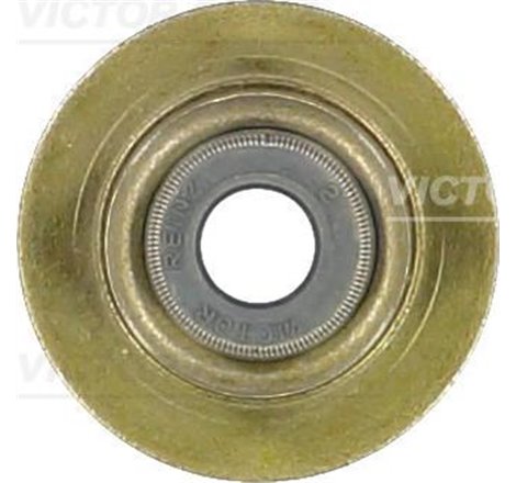 Garnitura PEUGEOT - Victor Reinz-70-38546-00