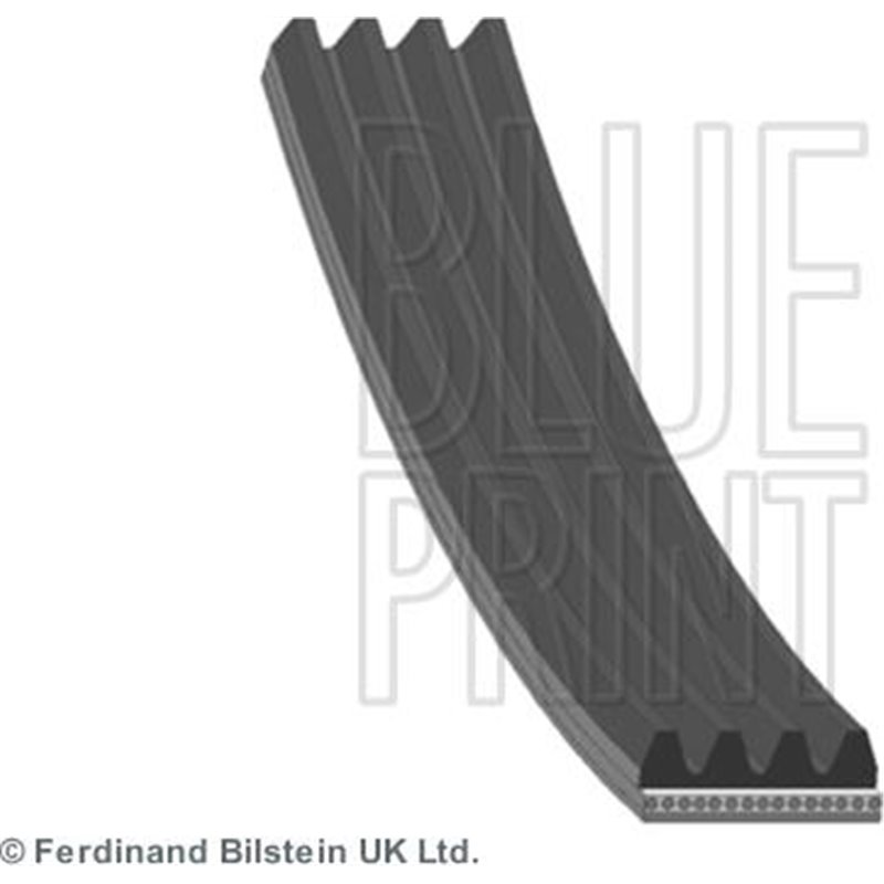 Curea transmisie cu caneluri - Blue Print-AD04R965