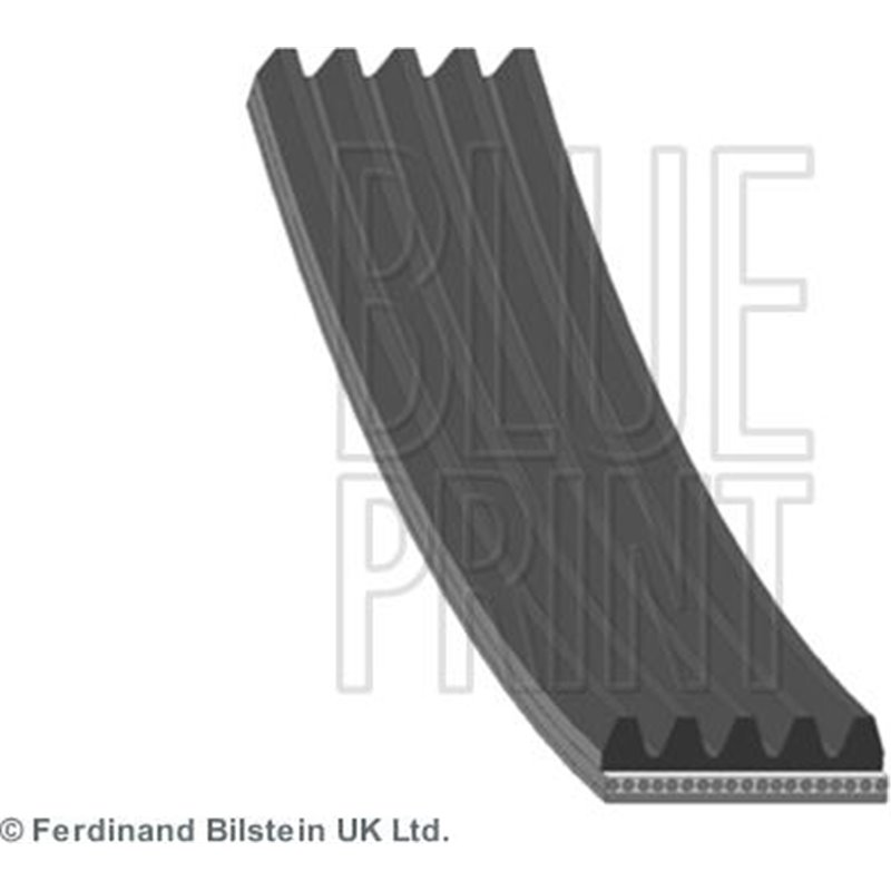 Curea transmisie cu caneluri - Blue Print-AD05R1732