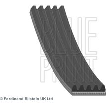 Curea transmisie cu caneluri - Blue Print-AD05R880