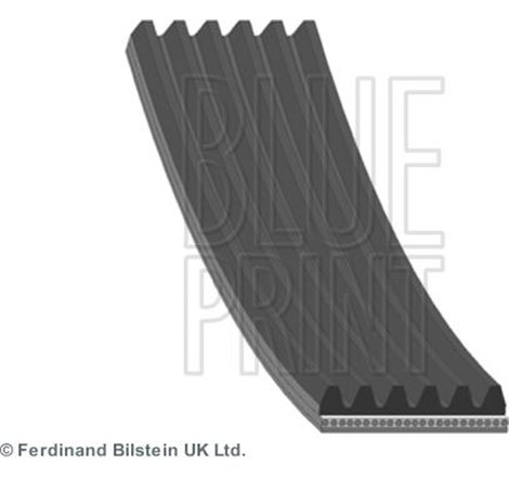 Curea transmisie cu caneluri - Blue Print-AD06R2433