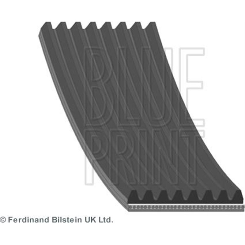 Curea transmisie cu caneluri - Blue Print-AD08R1956