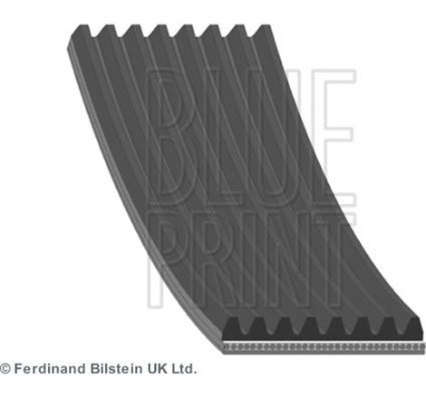 Curea transmisie cu caneluri - Blue Print-AD08R2485