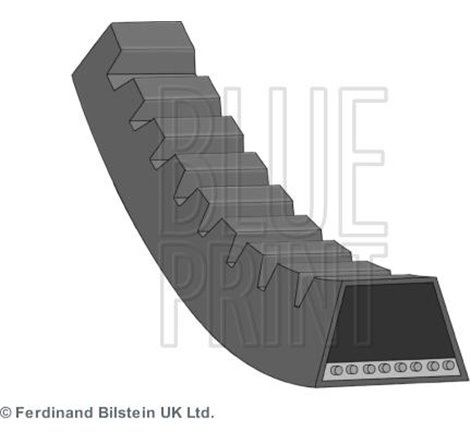 Curea transmisie - Blue Print-AD13V775