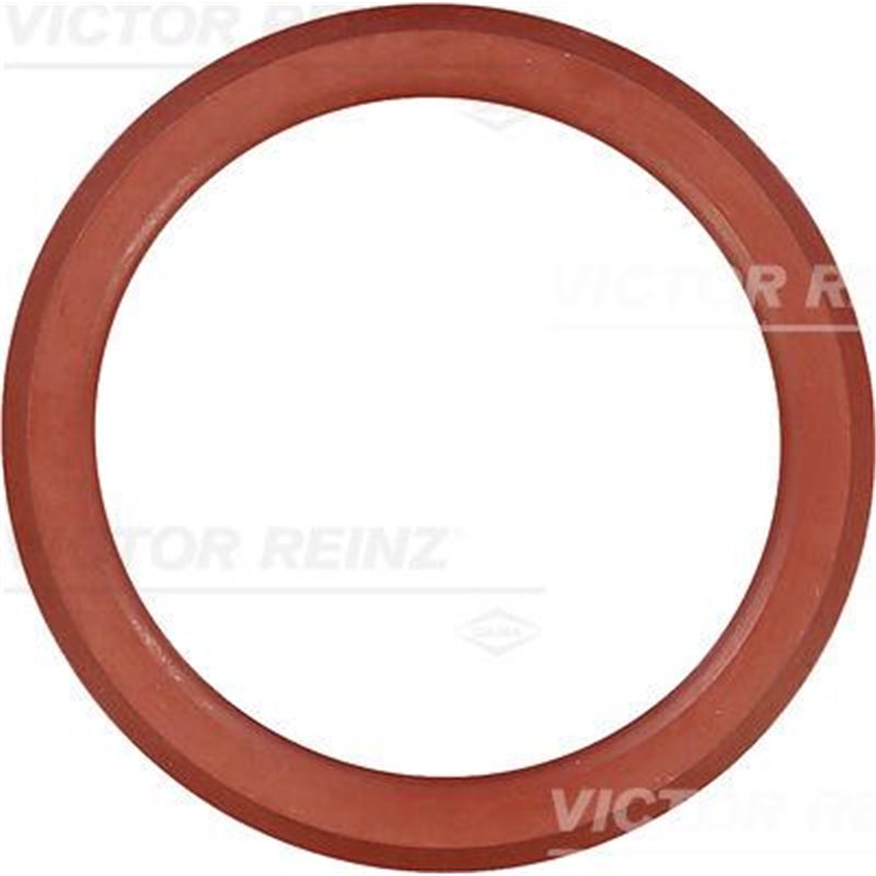 Garnitura capac culbutori CITROEN C5 II. C5 III. C6. C8. C-CROSSER. C-CROSSER ENTERPRISE. FORD MONDEO IV. LAND ROVER FREELANDER 