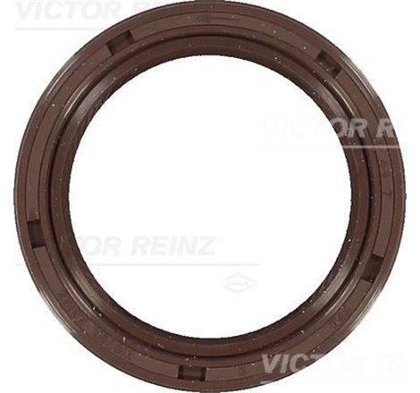 Renault Sealant cu came ESPACE III. Laguna. Safrane II - Victor Reinz-81-34468-00