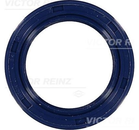 Sealant cu came Mazda 323 1.5. 1.6 16V. MOT. B5. B6-98-01 - Victor Reinz-81-53243-00