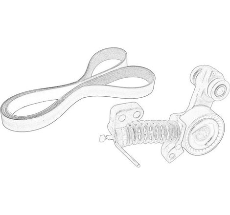 Set curea transmisie cu caneluri - Volvo-31480361