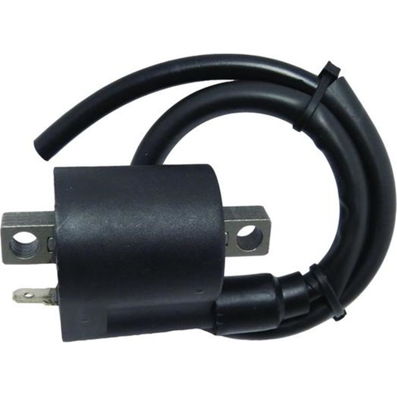 Bobina de inductie - WAI-CPS25