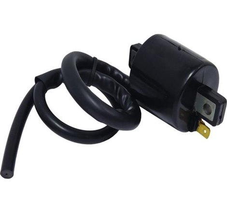 Bobina de inductie - WAI-CPS27