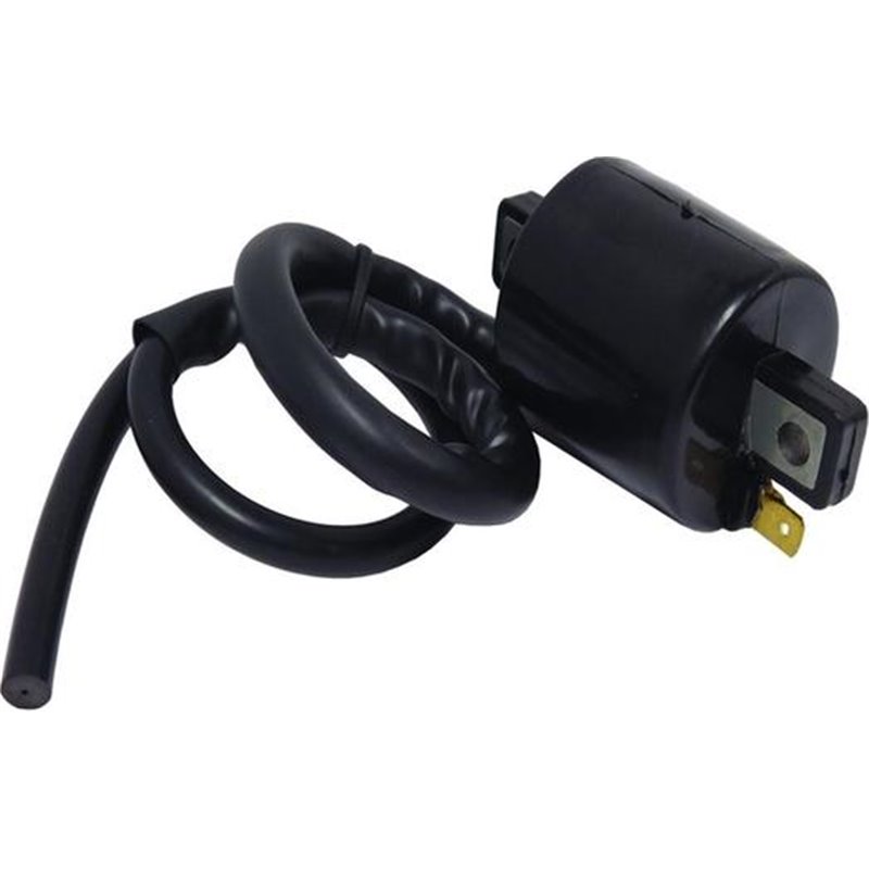 Bobina de inductie - WAI-CPS27