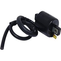 Bobina de inductie - WAI-CPS27