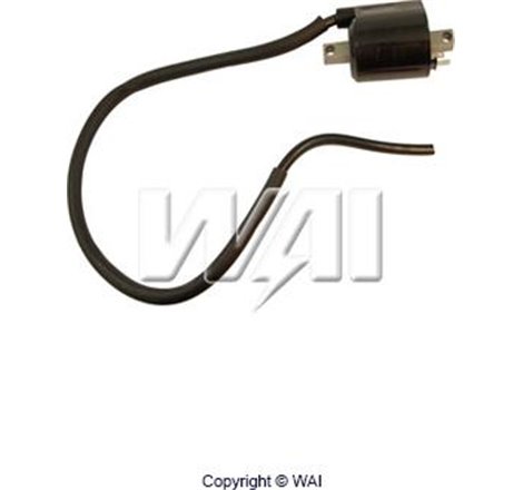 Bobina de inductie - WAI-CPS28