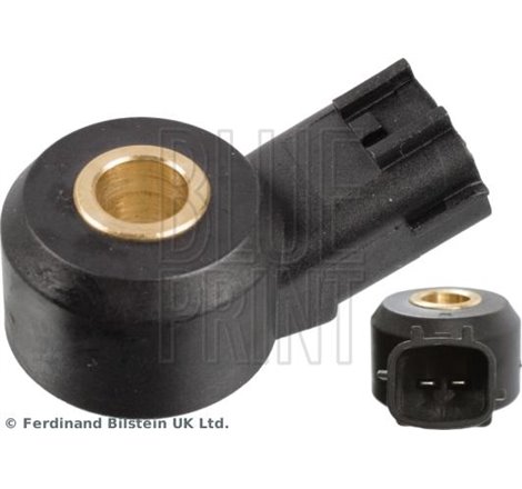 Senor batai - Blue Print-ADBP720002