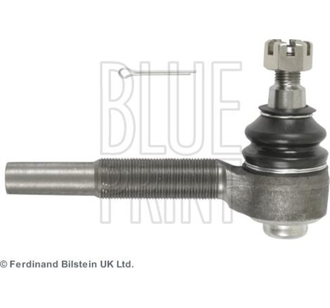 Cap de bara - Blue Print-ADC48754