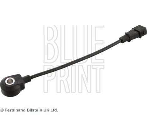 Senor batai - Blue Print-ADG072122